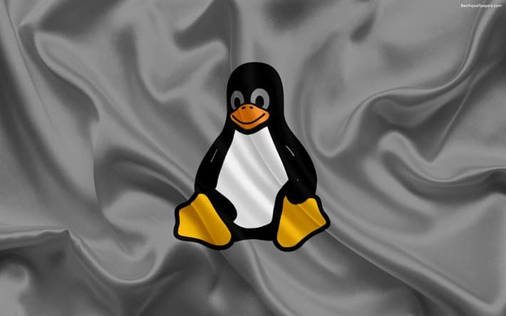Kernel Linux 5.9 recebe primeira atualização