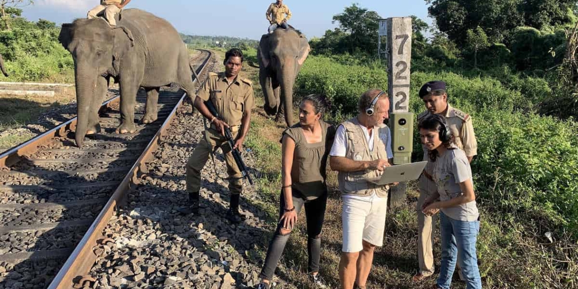Veja como a IA ajuda a garantir que elefantes e trens não colidam na Índia
