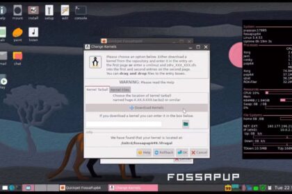 Lançada distribuição Puppy Linux 9.5 FossaPup baseada no Ubuntu 20.04 LTS