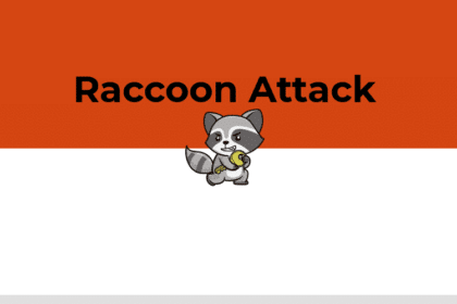 Ataque Raccoon permite que os hackers quebrem a criptografia TLS