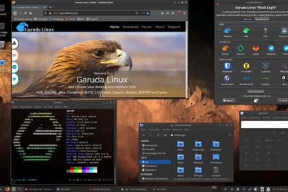 Lançado Garuda Linux Black Eagle com uma nova edição "Dr460nized"