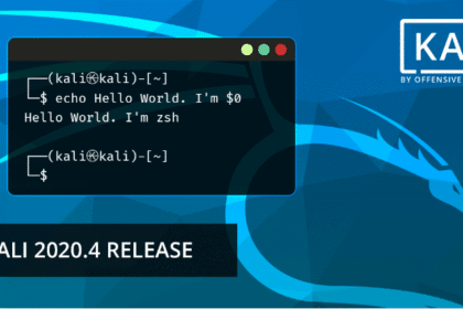 Kali Linux 2020.4 lançado com ZSH como shell padrão e Linux 5.9