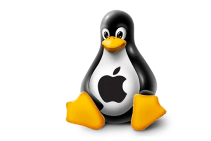 Desenvolvedor da FNA Ethan Lee afirma que vai investir no Linux