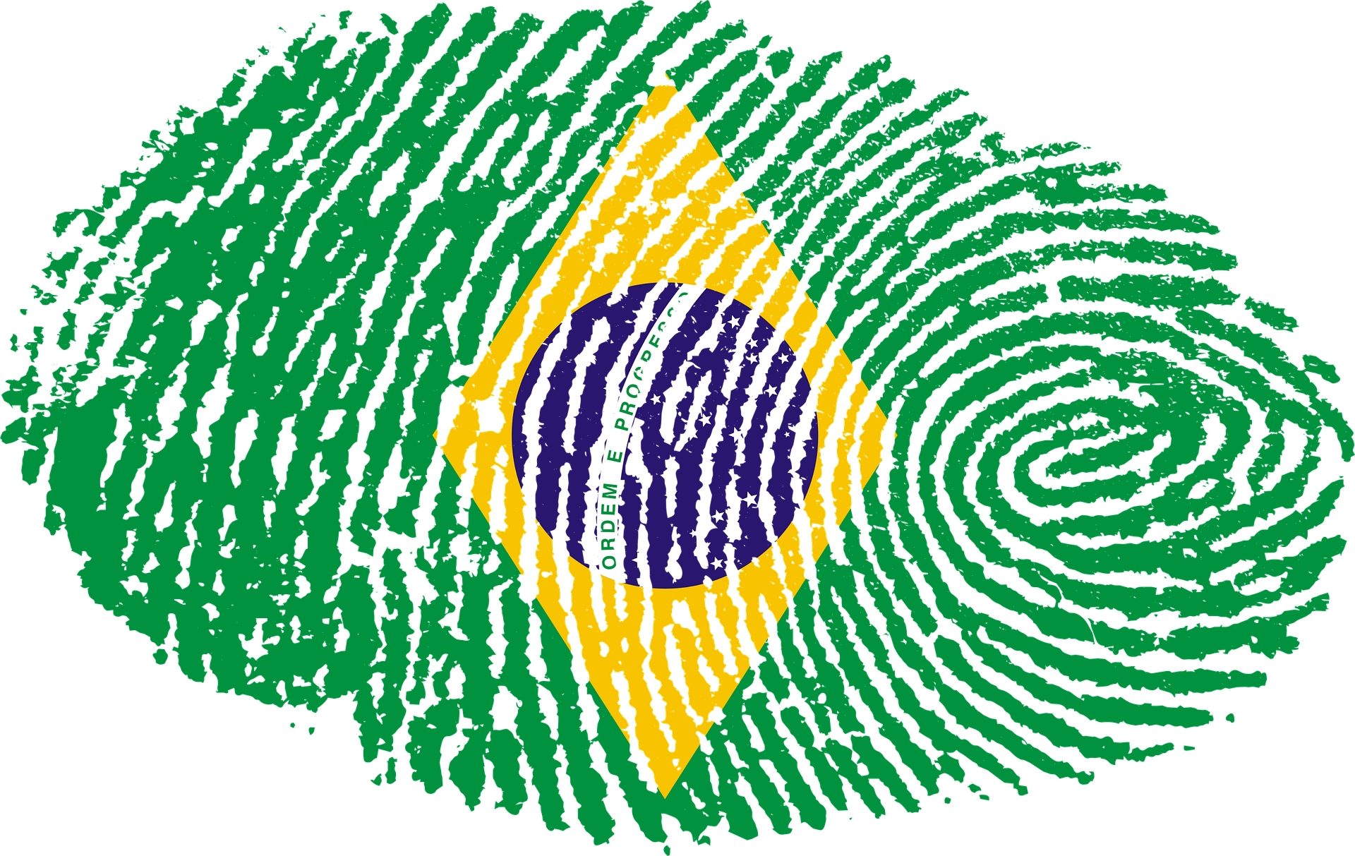 A criação do governo brasileiro digital