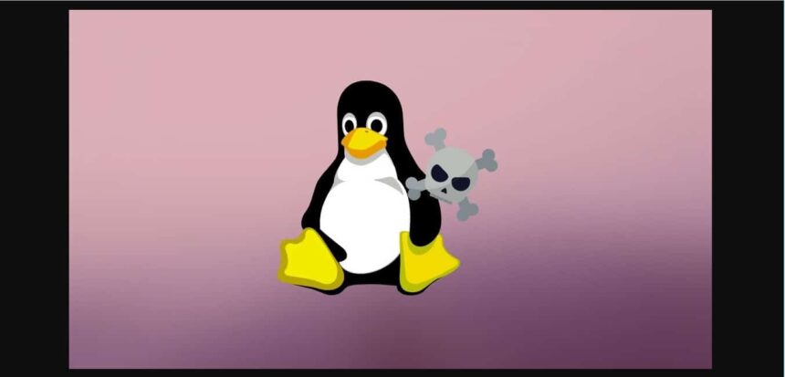 GNU Linux-libre 5.13 lançado como opção de kernel