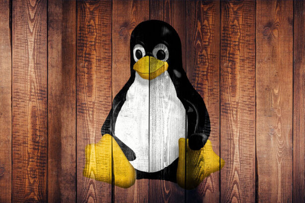 Linux 6.9-rc4 traz mais correções de Bcachefs e mitigação de BHI nativa