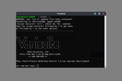 como-instalar-o-c-kermit-raymii-uma-rede-combinada-no-ubuntu-linux-mint-fedora-debian