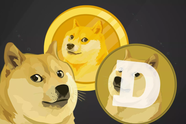Criador do Dogecoin afirma que criptomoedas são uma farsa
