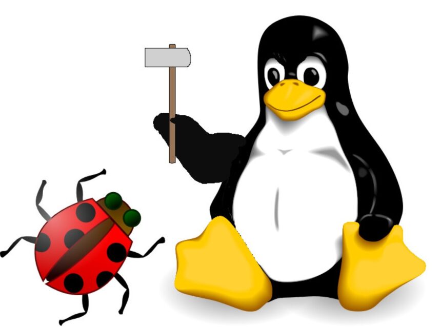 Linux corrige mais um bug de rede segura