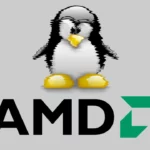 Microsoft ajuda no desenvolvimento de drivers da AMD para Linux