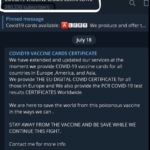 Variante Delta do Coronavírus estimula mercado ilegal de certificados falsos de vacinação