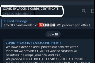 Variante Delta do Coronavírus estimula mercado ilegal de certificados falsos de vacinação