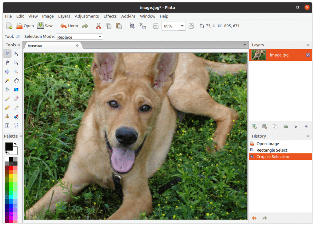 como-instalar-o-pinta-um-editor-de-imagens-no-ubuntu-fedora-debian-e-opensuse