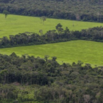 facebook-tenta-impedir-a-venda-de-terras-da-floresta-amazonica-em-sua-plataforma