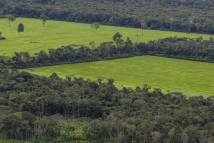 facebook-tenta-impedir-a-venda-de-terras-da-floresta-amazonica-em-sua-plataforma