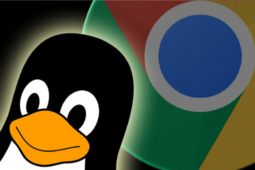 Google corrige falha do kernel Linux, explorada ativamente