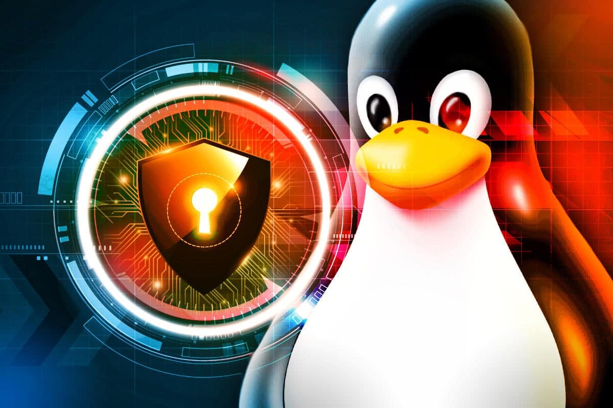 Segurança será prioridade de desenvolvedores de código aberto e Linux