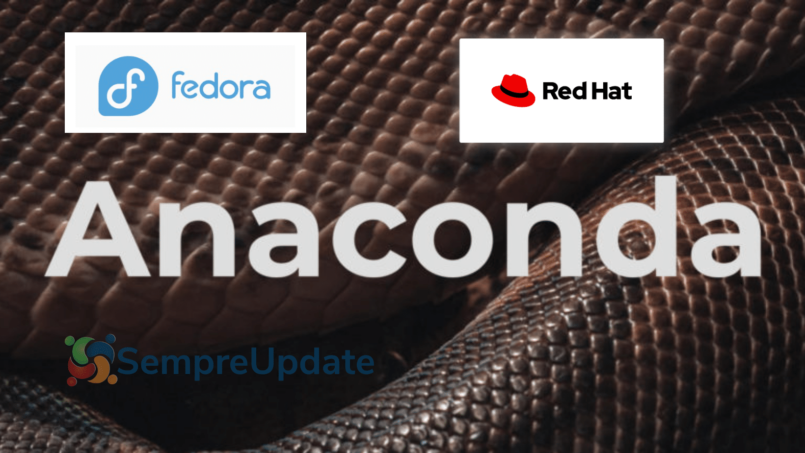 Anaconda Installer da Red Hat e Fedora Linux terá interface do usuário baseada na web