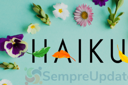 Haiku beta 4 está quase pronto para lançamento