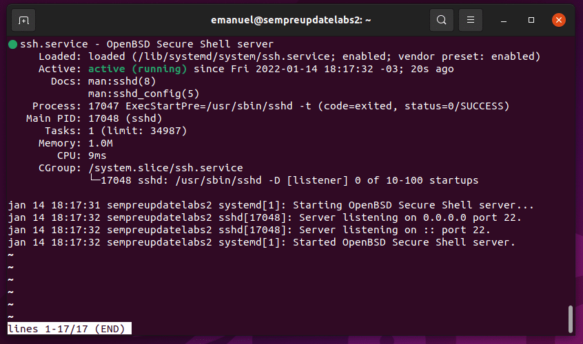 Guia passo a passo para instalar e ativar o SSH no Ubuntu Linux
