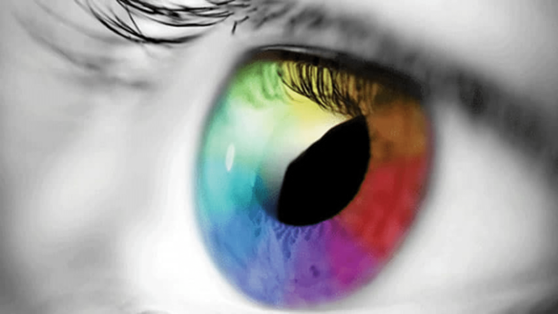 Tecnologia OPPO melhora a identificação de cores em 80% para daltônicos