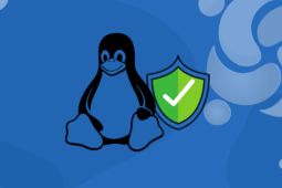 Windows e o dilema da privacidade: Linux é a solução!