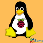 Máquinas Linux e Raspberry Pi se tornam os principais alvos para hackers de credenciais
