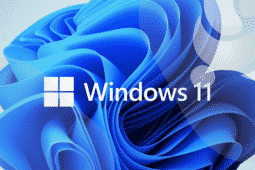 Windows 11 está pronto para distribuição em massa via Windows Update!
