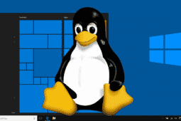Microsoft lança a primeira versão de sua distribuição Linux CBL-Mariner 2.0