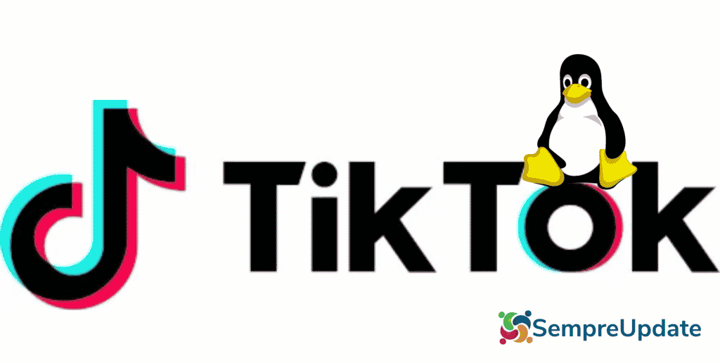 TikTok desiste de instalar loja de vendas no Brasil