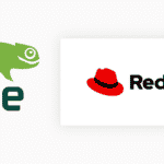 Oracle, SUSE e CIQ desafiam Red Hat com criação da Open Enterprise Linux Association