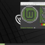 Linux Mint 21.3 deve sair no Natal de 2023