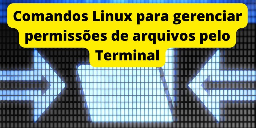comandos-linux-para-gerenciar-permissoes-de-arquivos-pelo-terminal