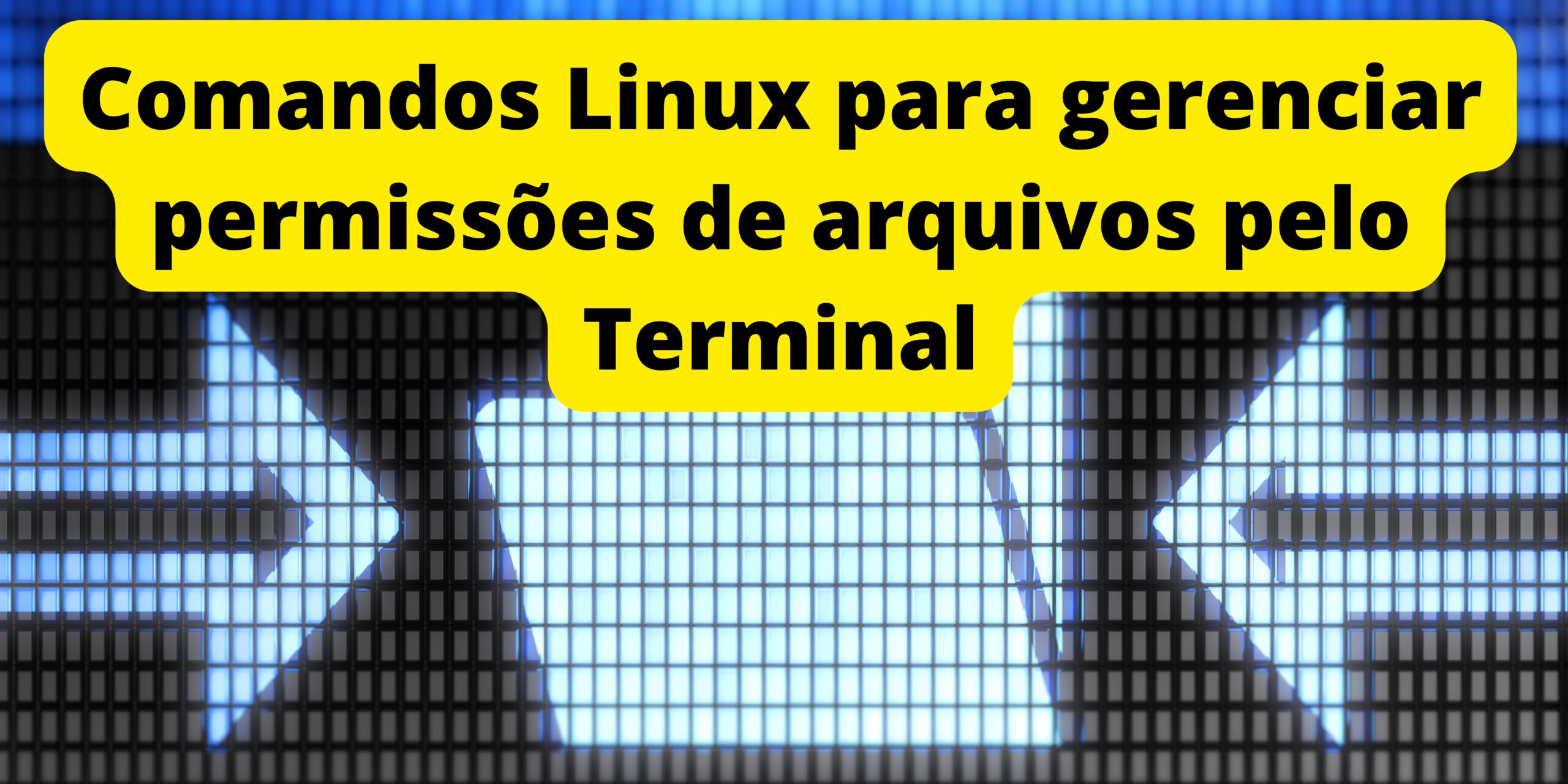 comandos-linux-para-gerenciar-permissoes-de-arquivos-pelo-terminal