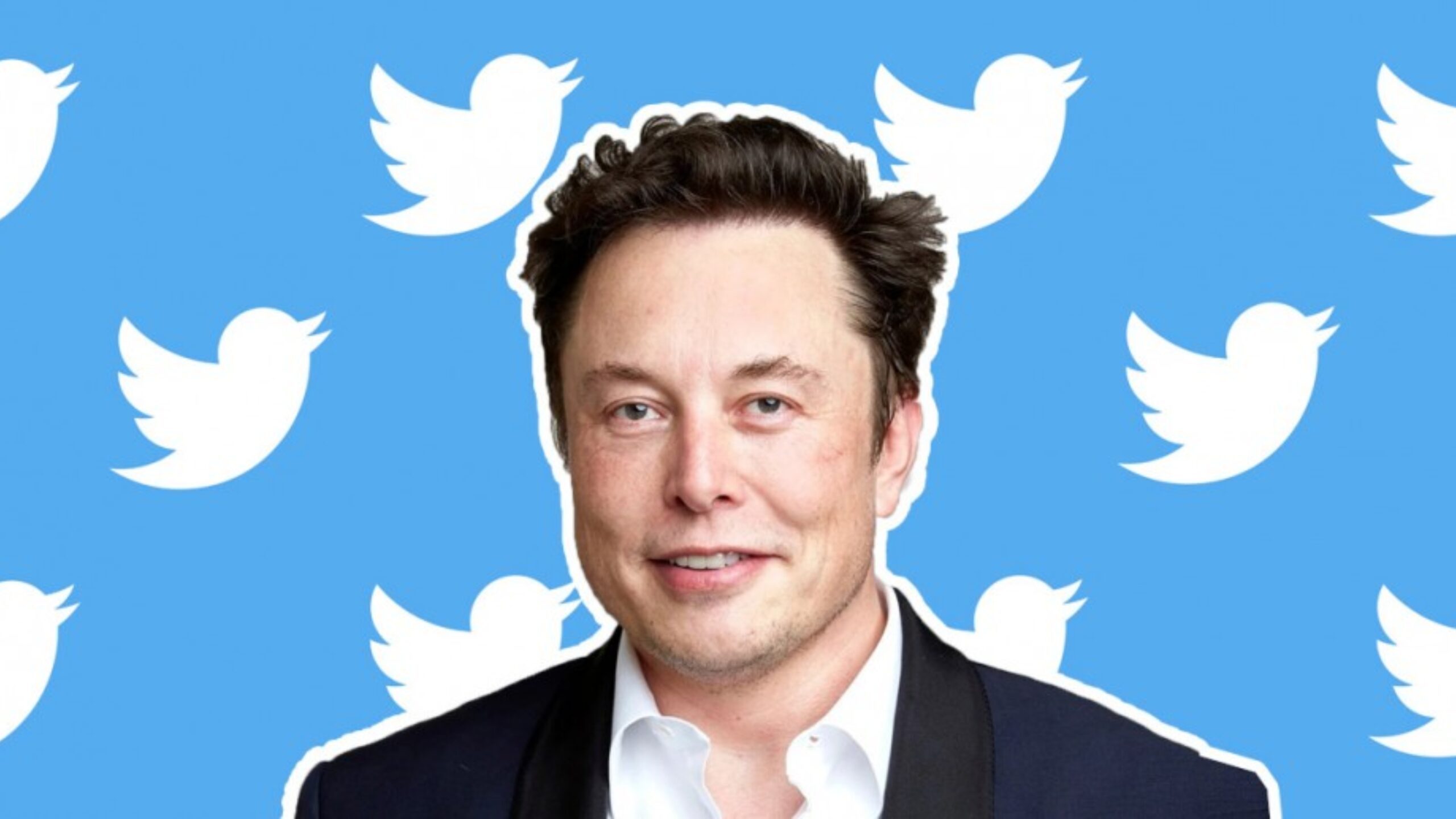 Elon Musk apronta de novo e limita leitura diária de tweets