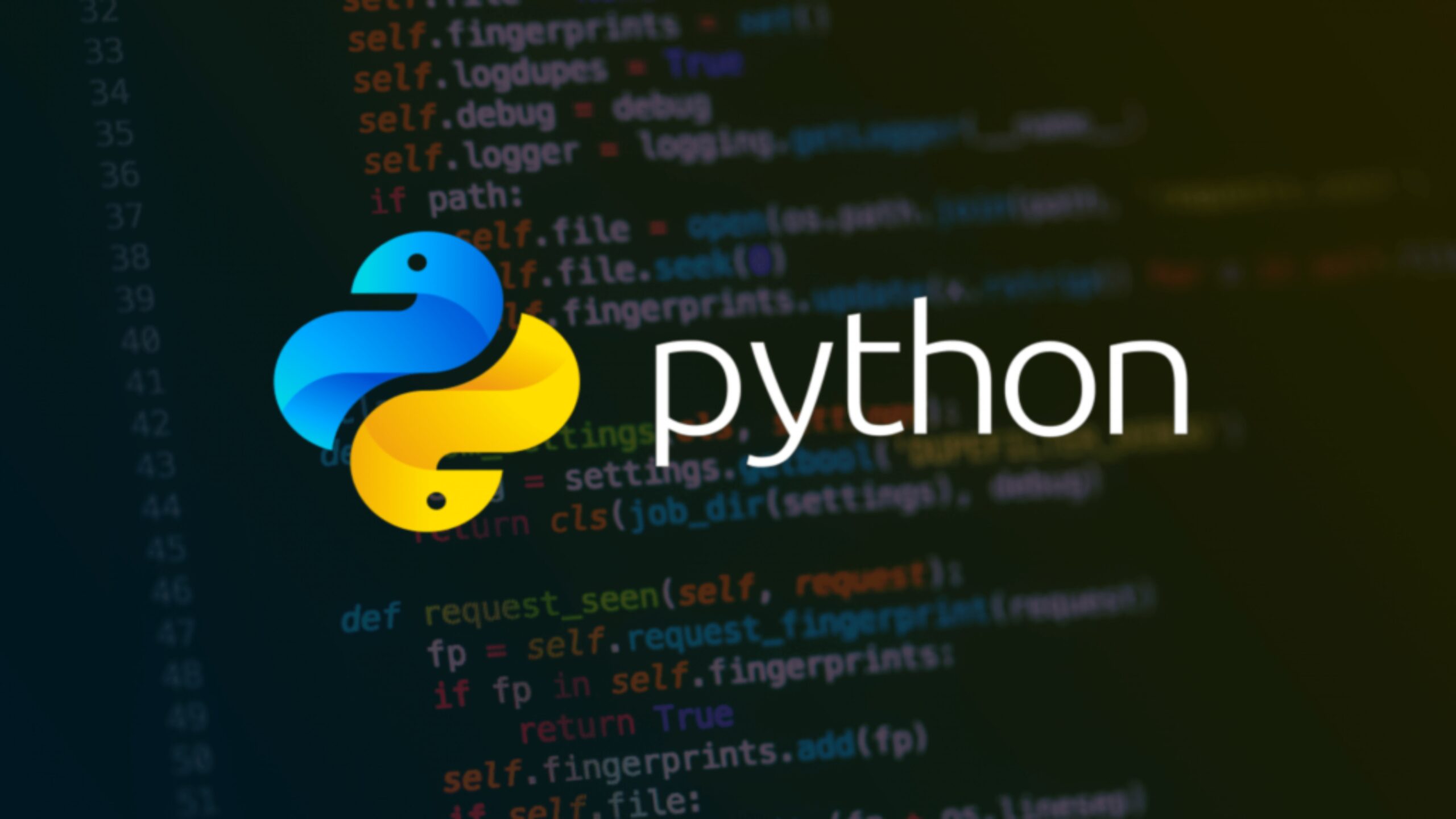 Mais de 170 mil usuários prejudicados por falhas em pacotes Python