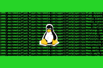 Principais variáveis shell Linux