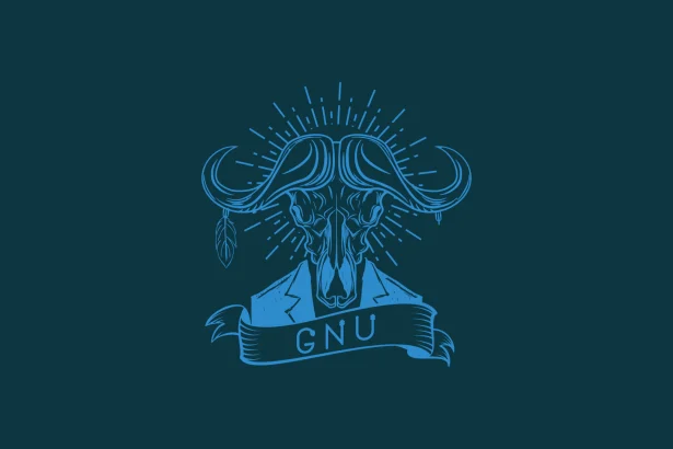 Softwares GNU: Copyright da FSF