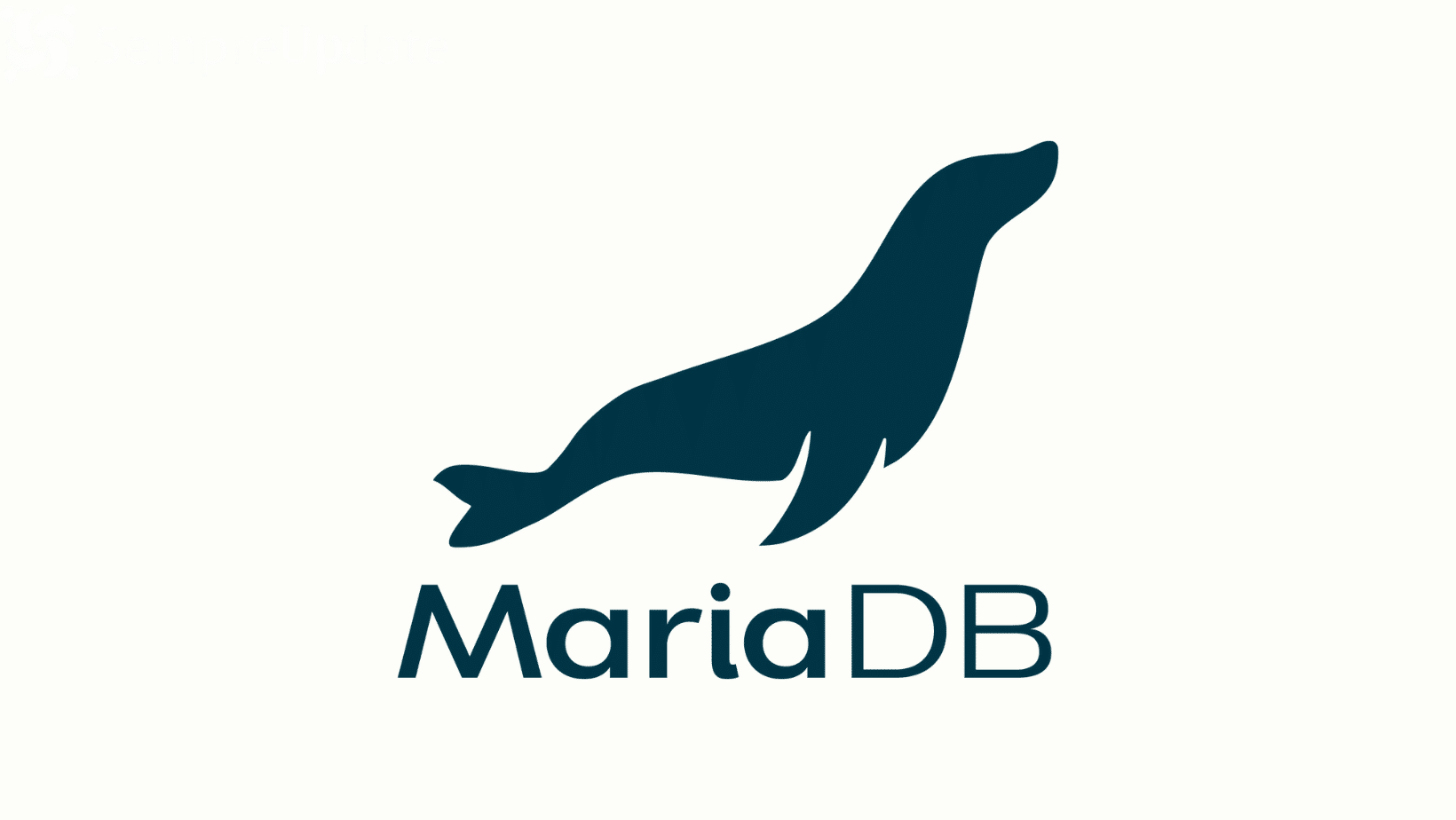 MariaDB: crise financeira ameaça projeto