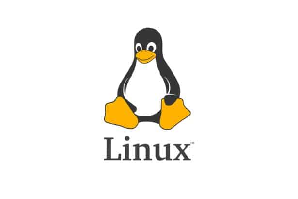 conheca-13-otimos-depuradores-linux-gratuitos-e-de-codigo-aberto