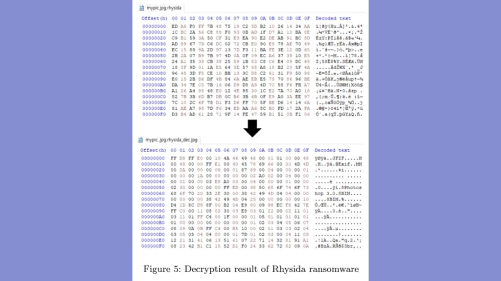 pesquisadores-lancam-descriptografador-para-o-ransomware-rhysida