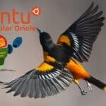 Imagem com a logo do Ubuntu e o codinome Ubuntu 24.10 .