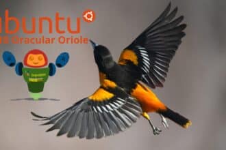 Imagem com a logo do Ubuntu e o codinome Ubuntu 24.10 .