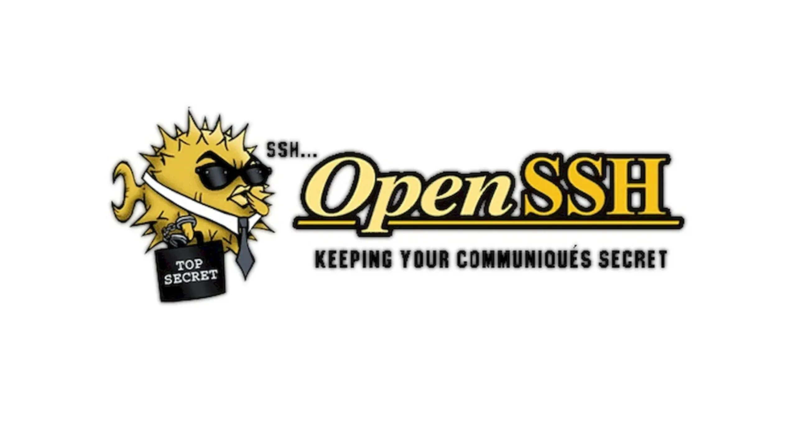 Imagem da logomarca do OpenSSH com fundo branco