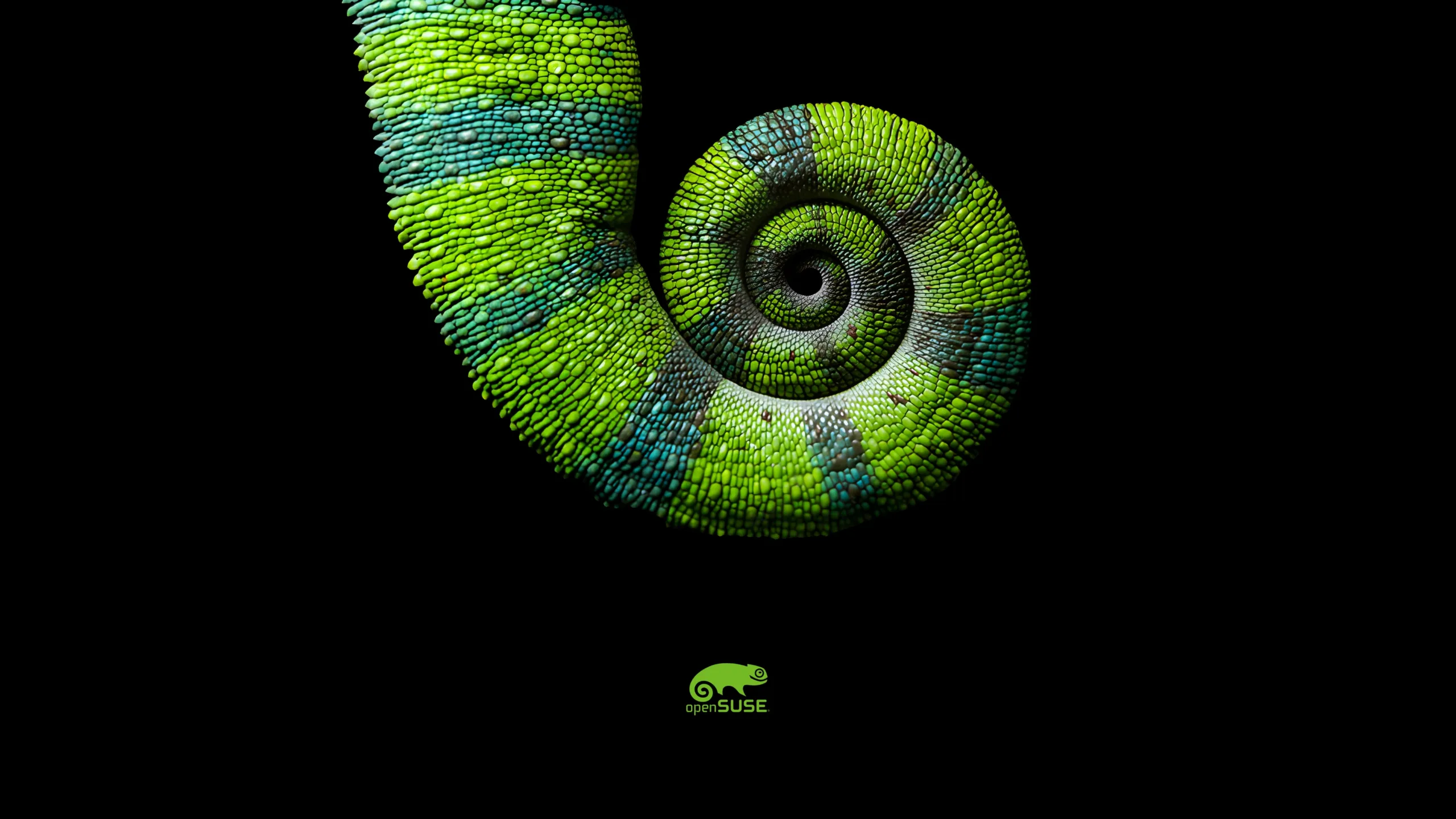Cauda em espiral de camaleão com textura detalhada em tons de verde e azul, representando a identidade visual do openSUSE.