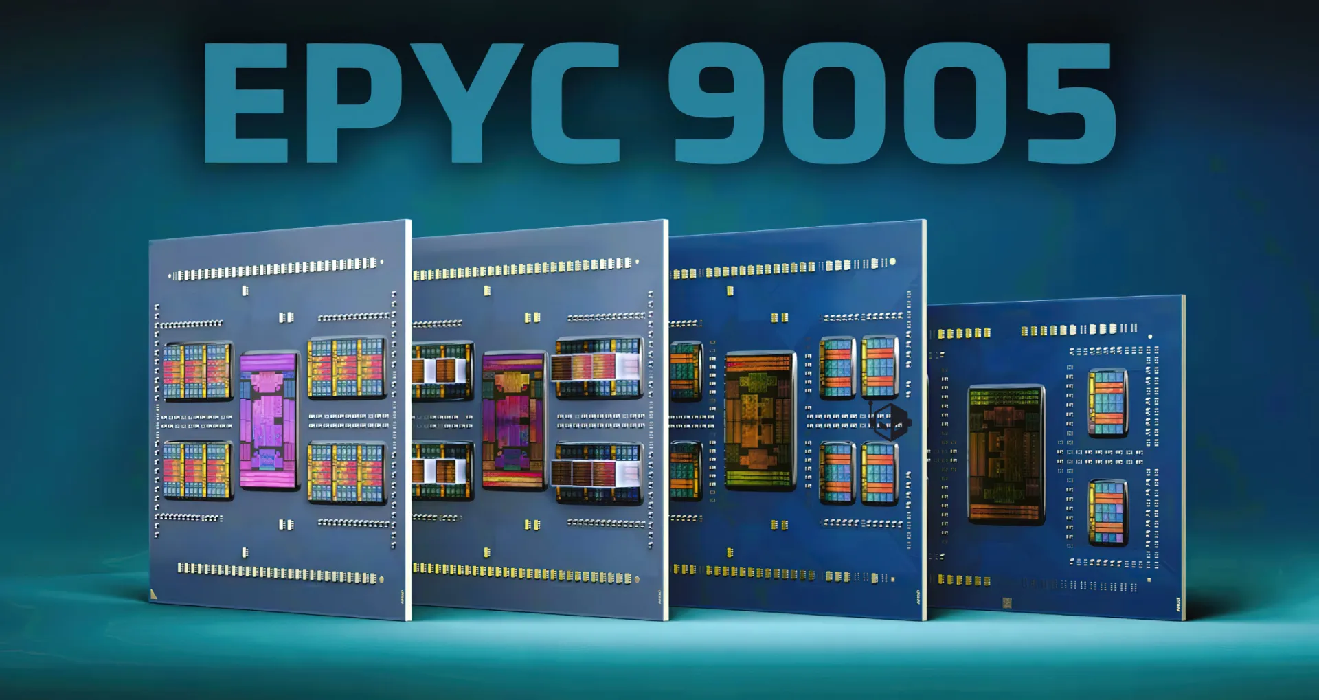 h4KGtuWP AMD EPYC 9005