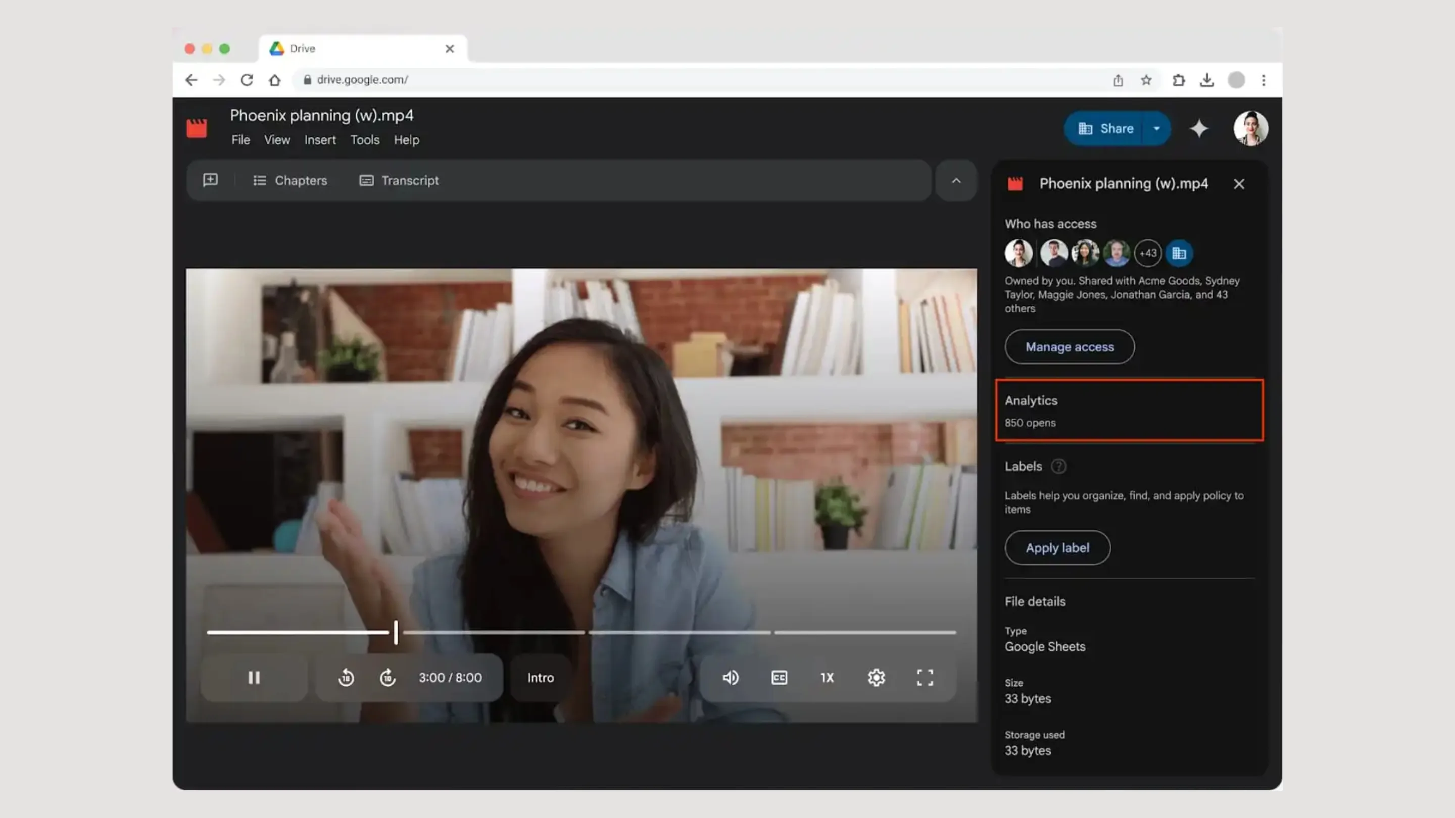 Gemini Google Drive