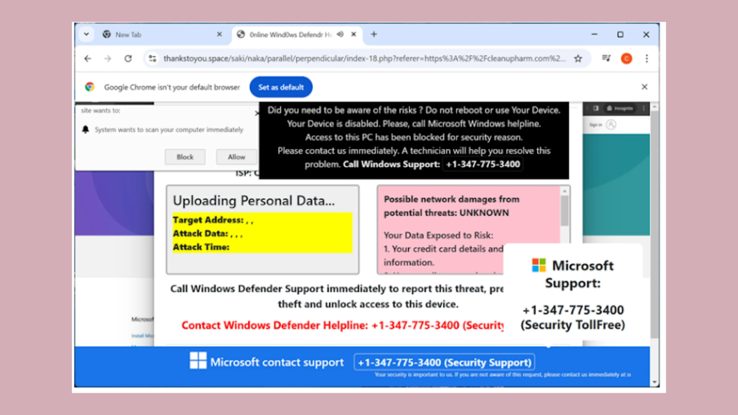 Hazy Hawk: como a falha em registros DNS sequestra domínios para golpes e malware 2 Hazy Hawk Malware