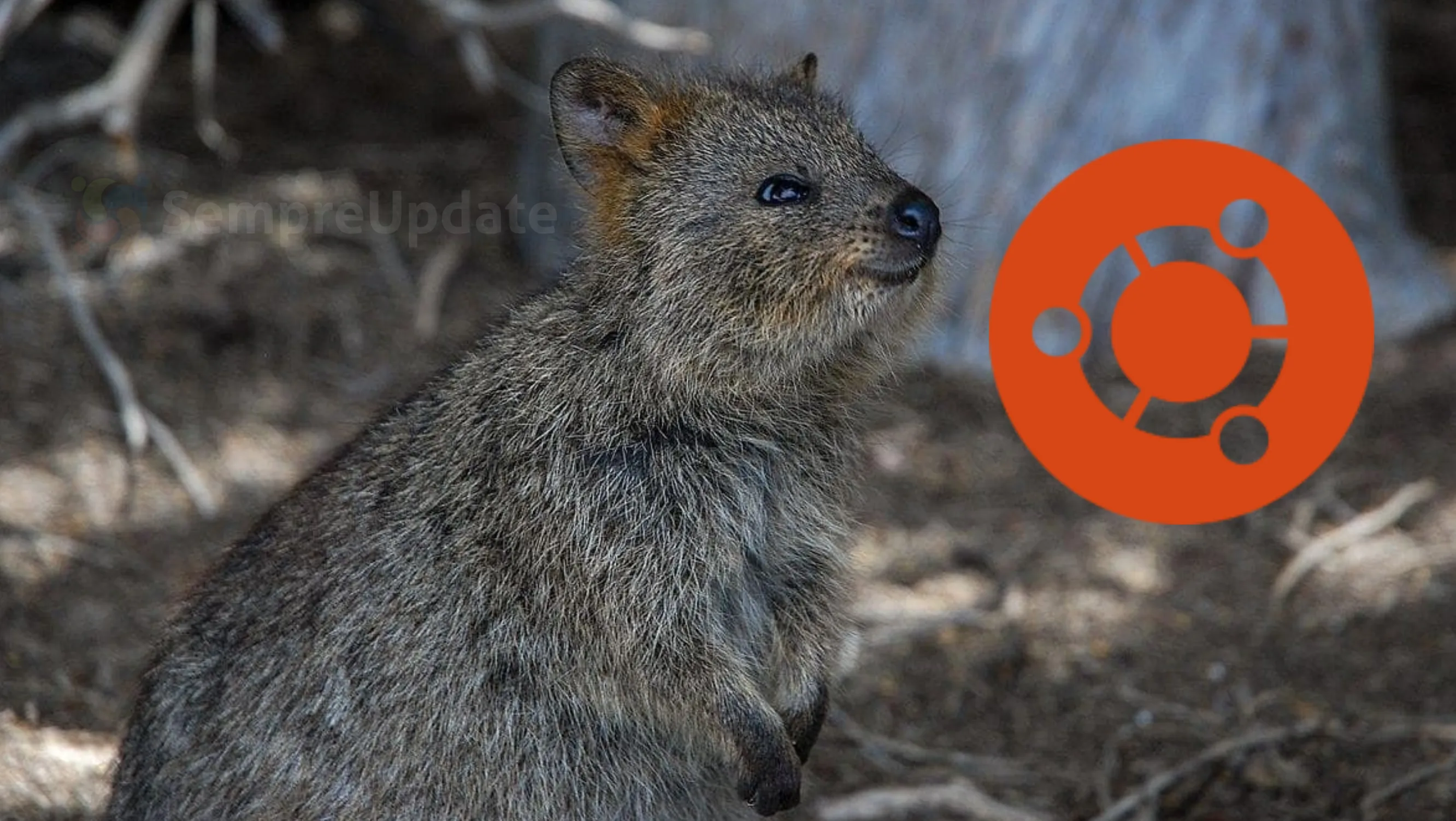 Tela do Ubuntu 25.10 com destaque para kernel Linux 6.17 e GNOME 49